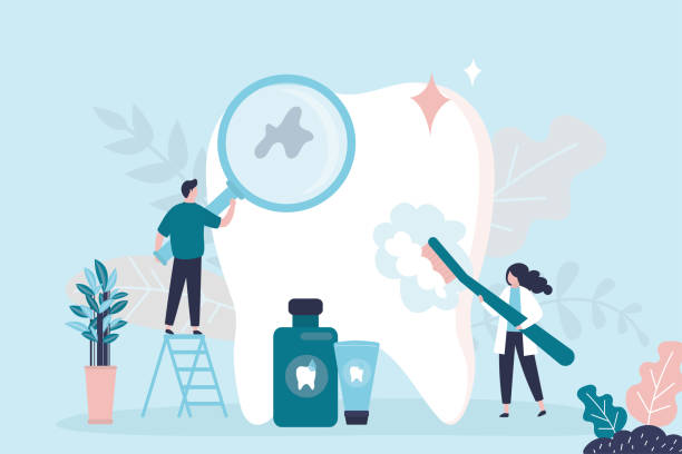  Princeton, FL Holistic Dental Services Pros